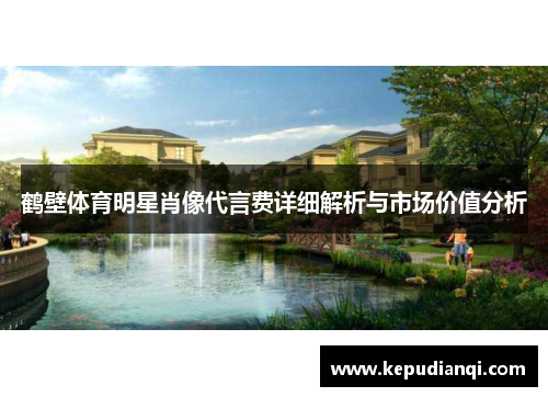 鹤壁体育明星肖像代言费详细解析与市场价值分析
